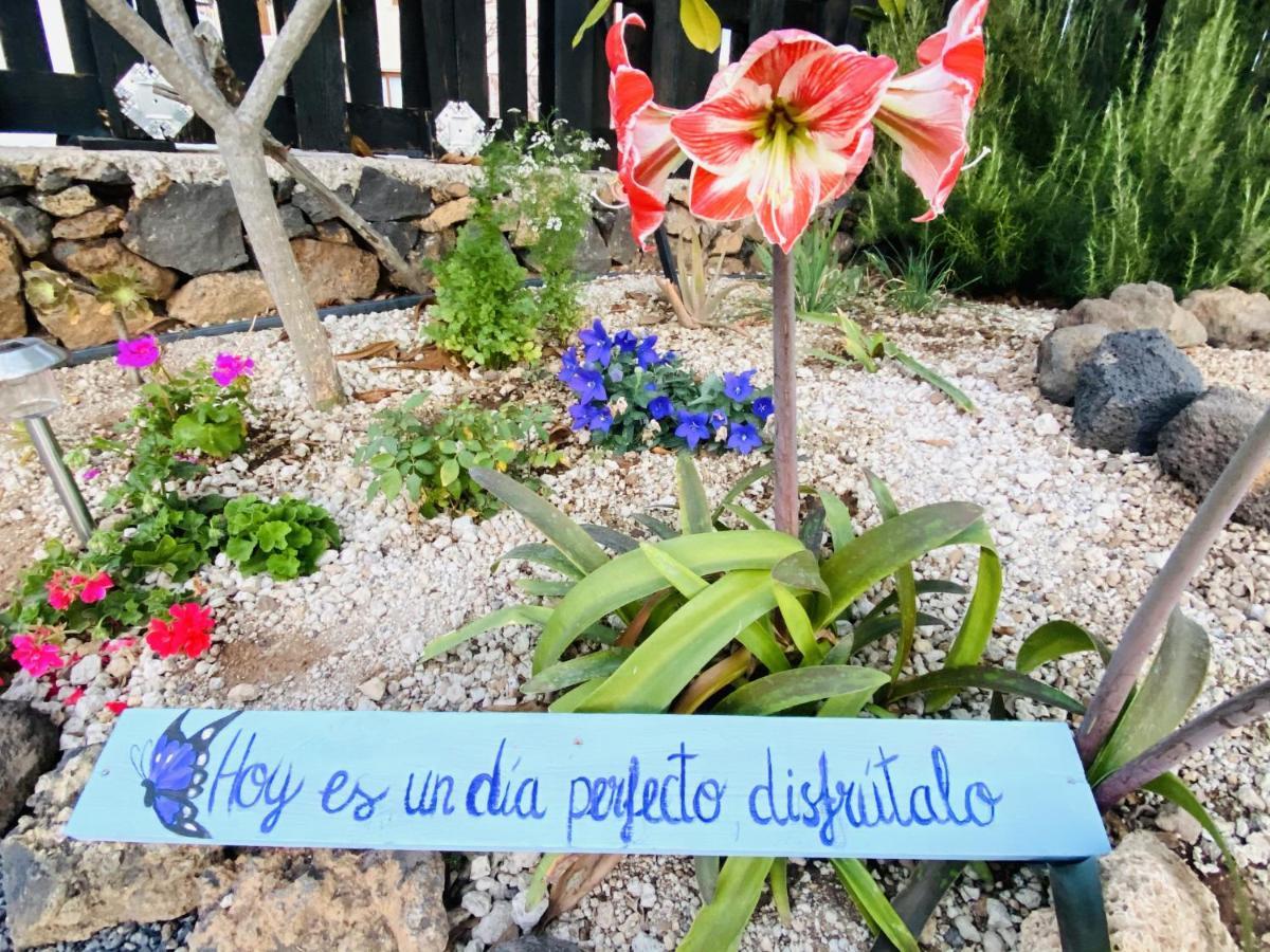 Lykke Suite Spa Sauna Piscina Y Jardin Buzanada Kültér fotó