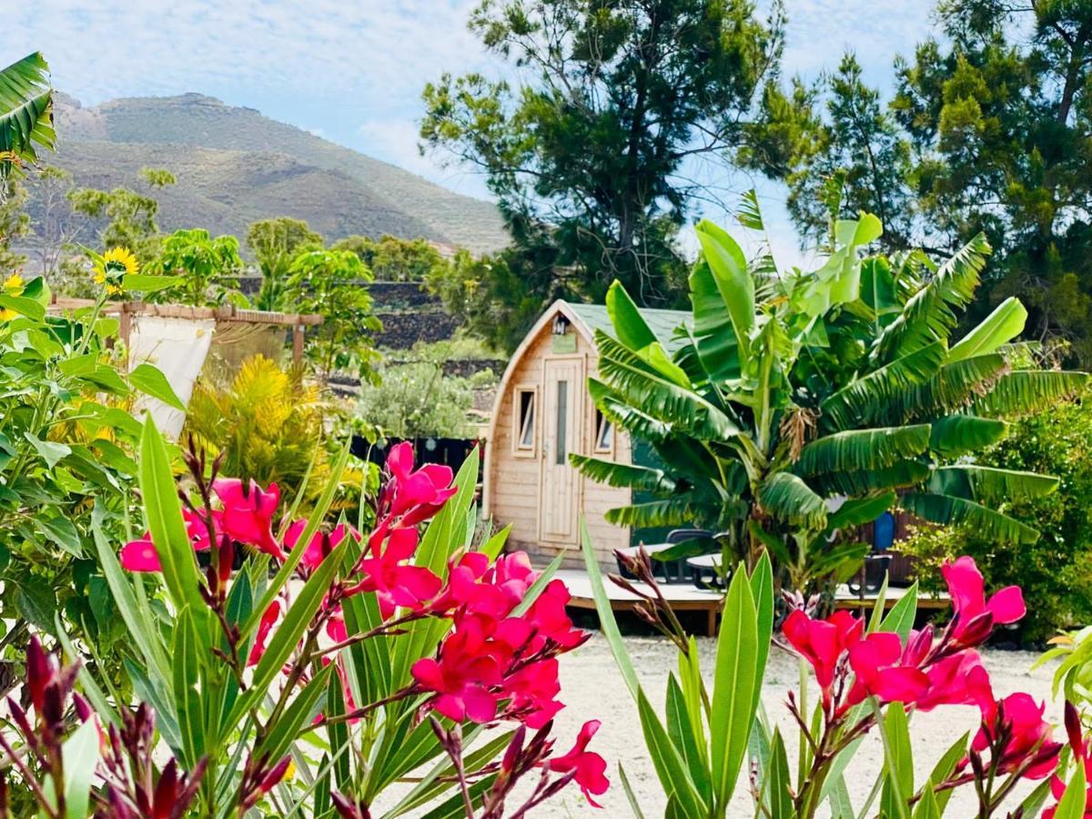 Lykke Suite Spa Sauna Piscina Y Jardin Buzanada Kültér fotó