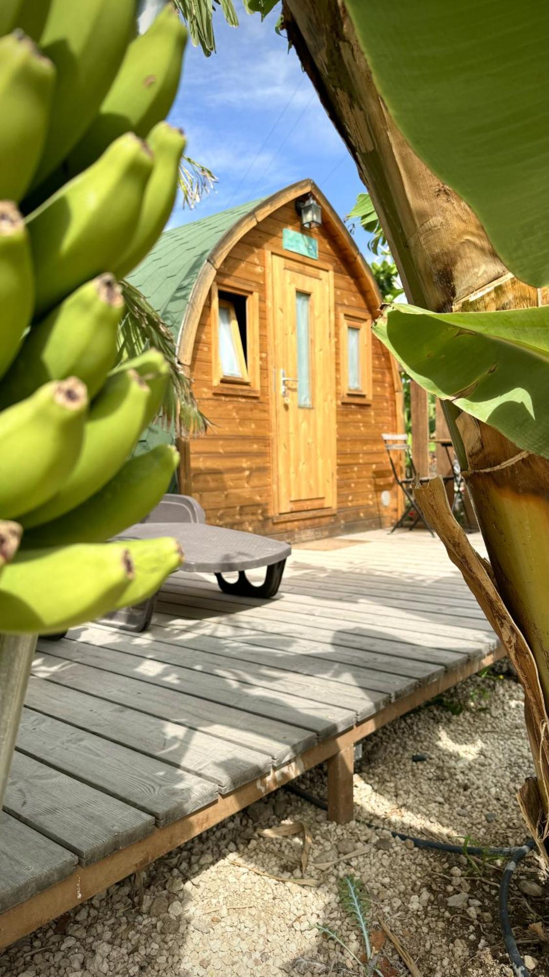 Lykke Suite Spa Sauna Piscina Y Jardin Buzanada Kültér fotó
