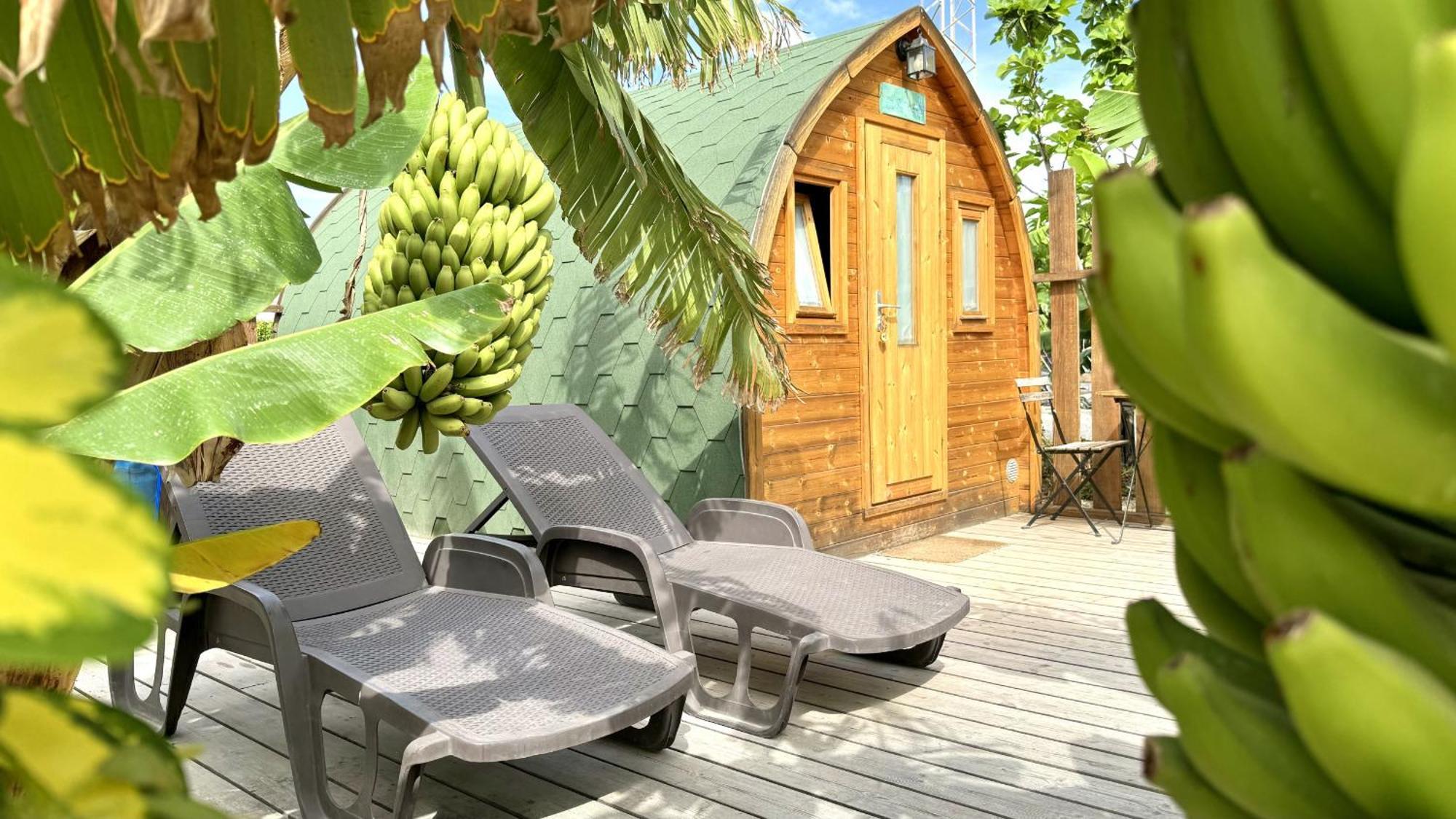 Lykke Suite Spa Sauna Piscina Y Jardin Buzanada Kültér fotó